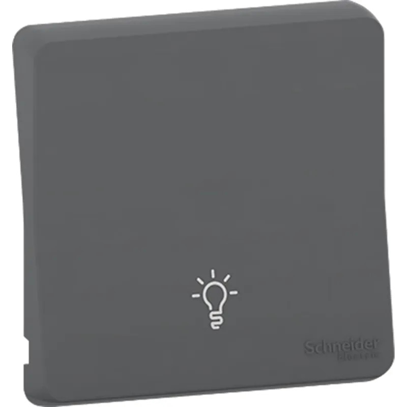 Mureva Styl - Enjoliveur avec symbôle lumière - IP55 - IK08 - gris - MUR34202 Schneider Electric