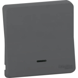 Mureva Styl - Enjoliveur avec lentille - IP55 - IK08 - gris - MUR34204 Schneider Electric