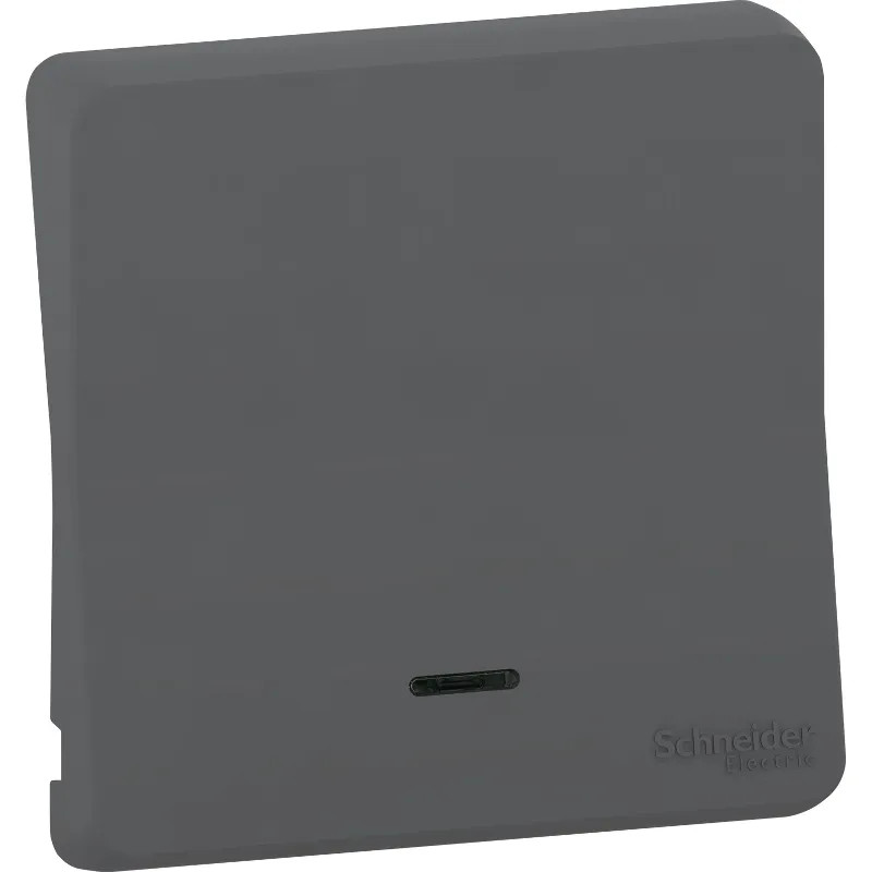 Mureva Styl - Enjoliveur avec lentille - IP55 - IK08 - gris - MUR34204 Schneider Electric