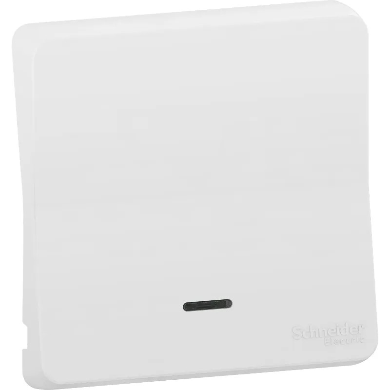 Mureva Styl - Enjoliveur avec lentille - IP55 - IK08 - blanc - MUR39204 Schneider Electric