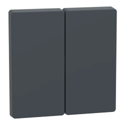 Enjoliveur double anthracite - MEG3400-6034 Schneider Electric