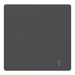 Enjo anthracite picto lampe - MTN3302-6034 Schneider Electric