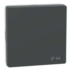 Enjo anthracite picto IP44 - MTN3304-6034 Schneider Electric