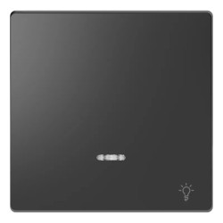 Enjo anthra voyant+picto lampe - MTN3322-6034 Schneider Electric