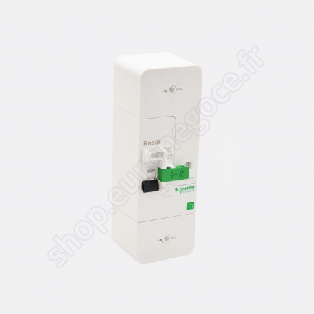 Circuit Breakers Circuit breaker of connection  - R9FT660 - DB60 1P+N 30/45/60A 500mA - diff inst.