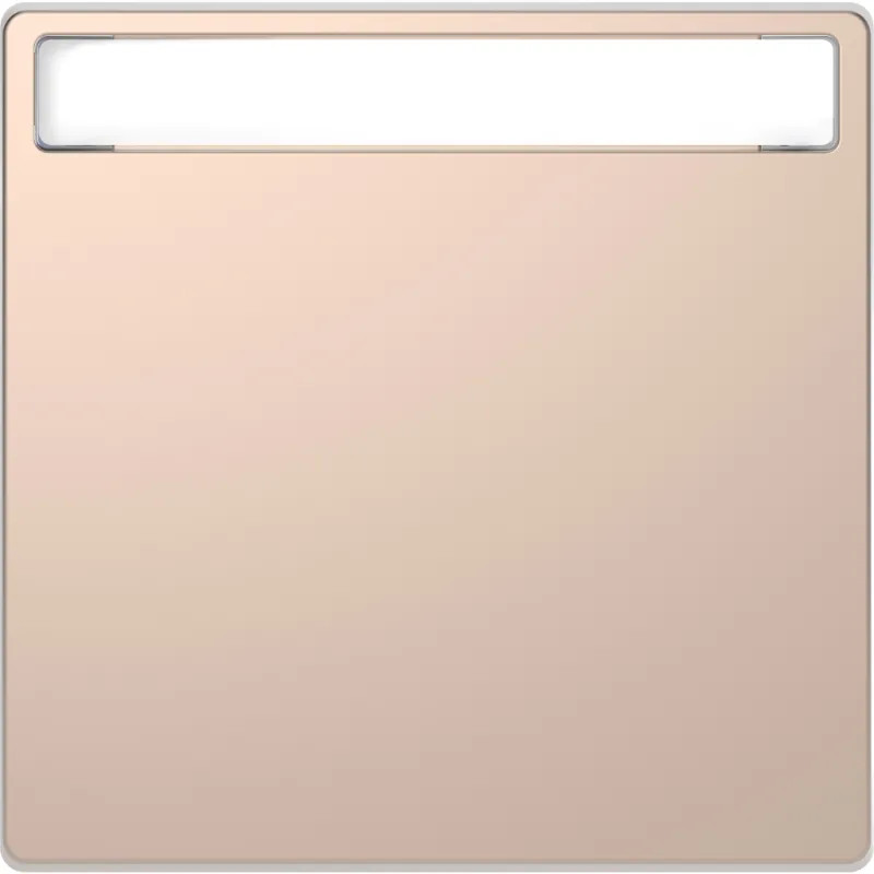 Enjo champ. + porte étiquette - MTN3360-6051 Schneider Electric