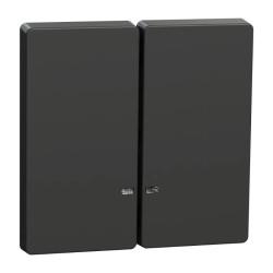D-Life - enjoliveur pour commande double avec voyant - anthracite - MTN3420-6034 Schneider Electric