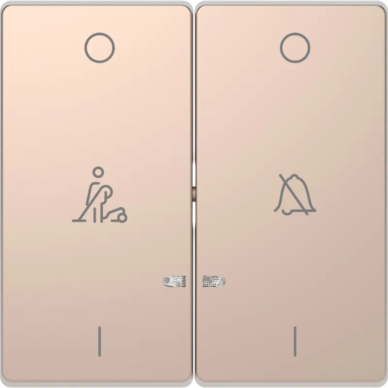 Enjo double champ voyant+picto - MTN3429-6051 Schneider Electric