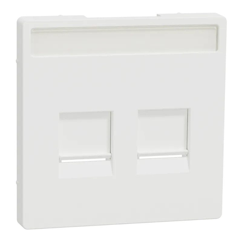 Enjo RJ45 porte-étiq b.mat - MTN4564-6037 Schneider Electric
