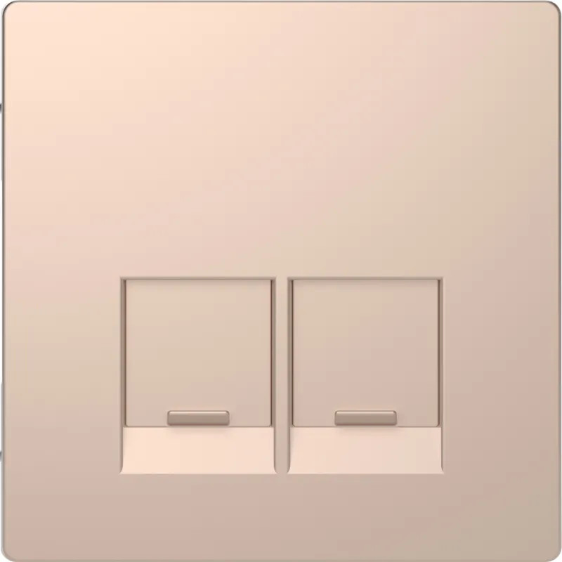 Enjo simple RJ45x2 champagne - MTN4572-6051 Schneider Electric