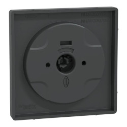 D-Life - enjoliveur pour variateur rotatif - anthracite - MTN5250-6034 Schneider Electric