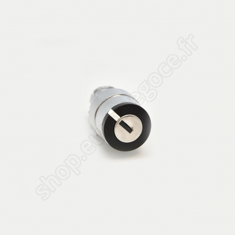 Boutonnerie  - ZB4BG9 - TETE BOUTON TOU