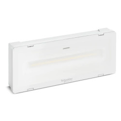 Exiway Smartled AMB 400lm - 1h IP 65 grand froid -25°C - OVA48526 Schneider Electric