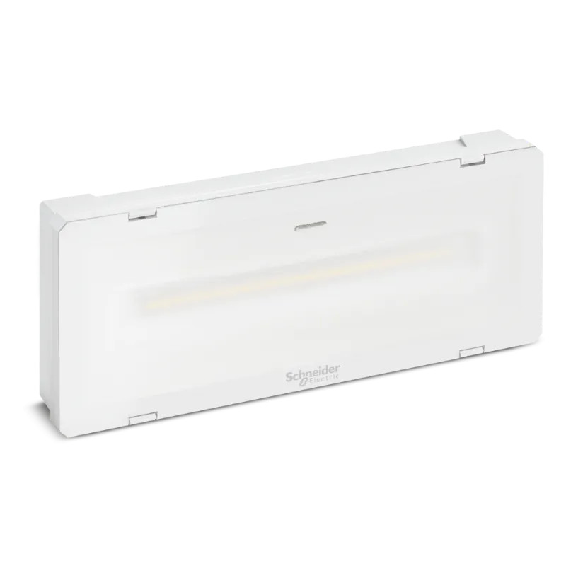 Exiway Smartled AMB 400lm - 1h IP 65 grand froid -25°C - OVA48526 Schneider Electric
