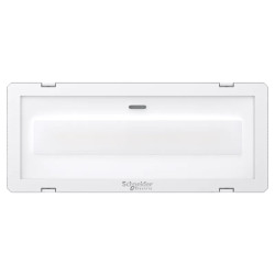 Exiway Smartled AMB 400lm - 1h IP 65 grand froid -25°C - OVA48526 Schneider Electric