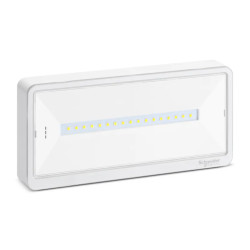 Exiway Light Bloc de secours Ambiance IP65 SATI - OVA59311 Schneider Electric