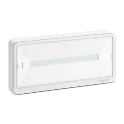 Exiway Light Bloc de secours Habitation IP42 SATI LINK - OVA59230 Schneider Electric
