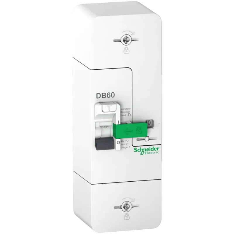 DB60 1P+N 60A fixe 500MA S - R9FS660 Schneider Electric