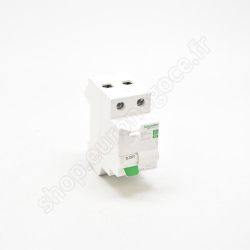 R9ERC263 - Inter diff XE 2P 63A 30mA Type AC embrochable